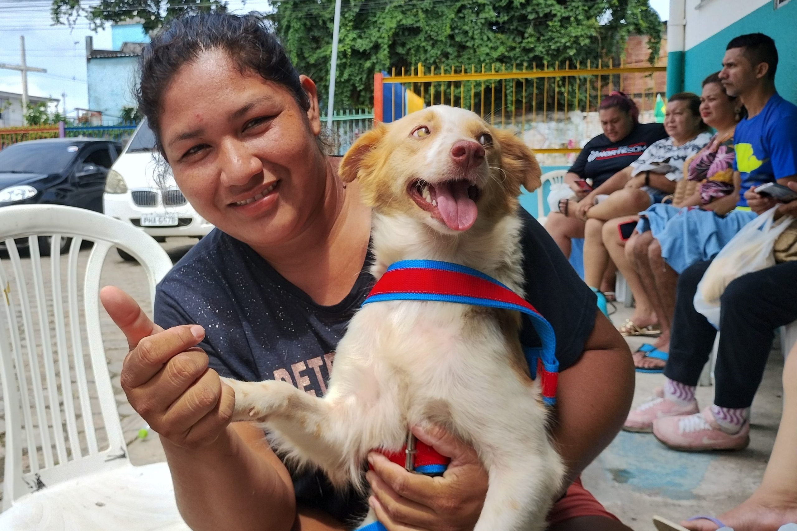 Prefeitura de Manaus amplia atendimento gratuito para castração de pets