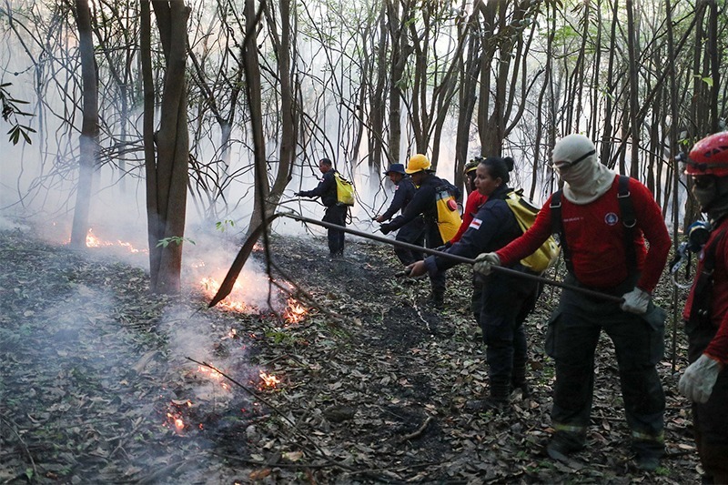 Amazonas amplia combate a incêndios florestais em 24 municípios