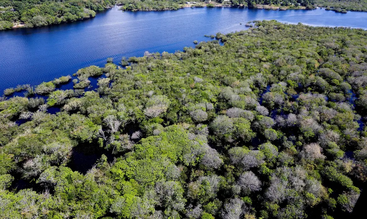 Amazônia busca menor taxa histórica de desmatamento