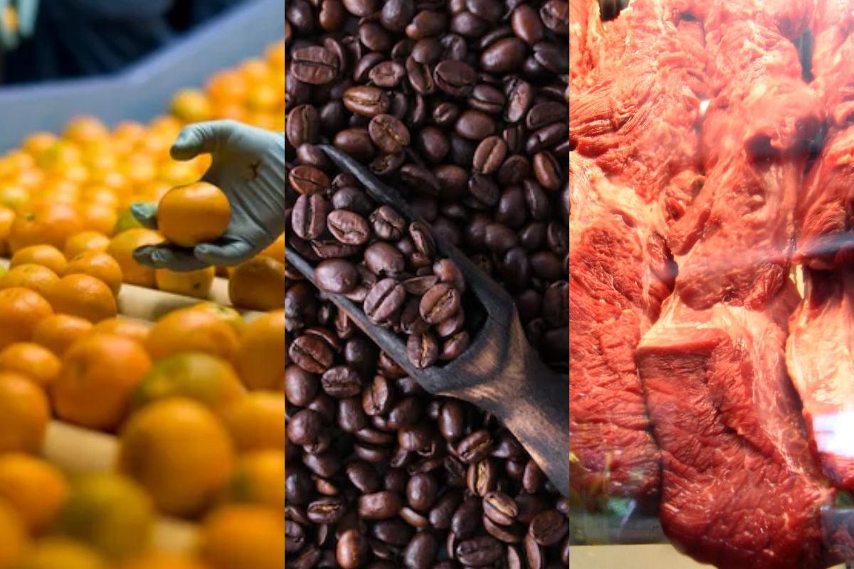 Café, carne e petróleo escapam da nova tarifa de importação dos EUA