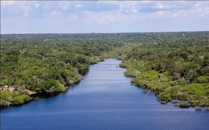 Monitoramento ambiental ajuda a reduzir impactos das queimadas no Brasil