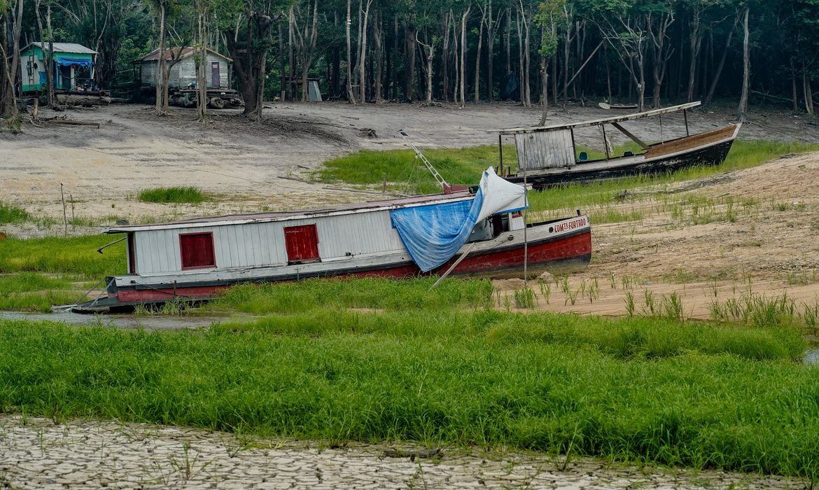 COP17 na Mongólia reúne países em busca de soluções ambientais