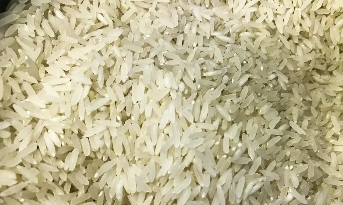 Conab vai operacionalizar envio de arroz do Brasil à Colômbia