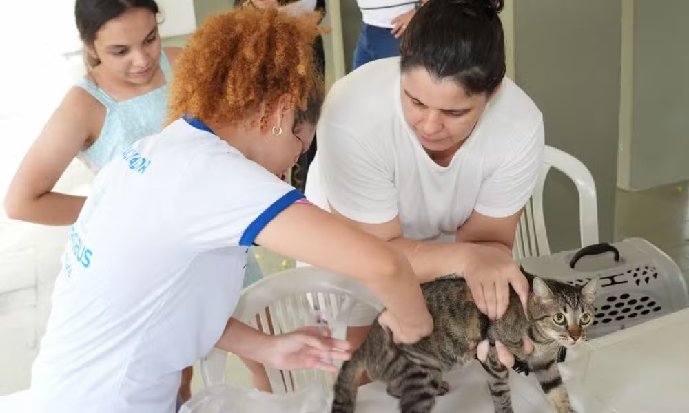 Manaus inicia vacinação antirrábica animal em 1º de setembro