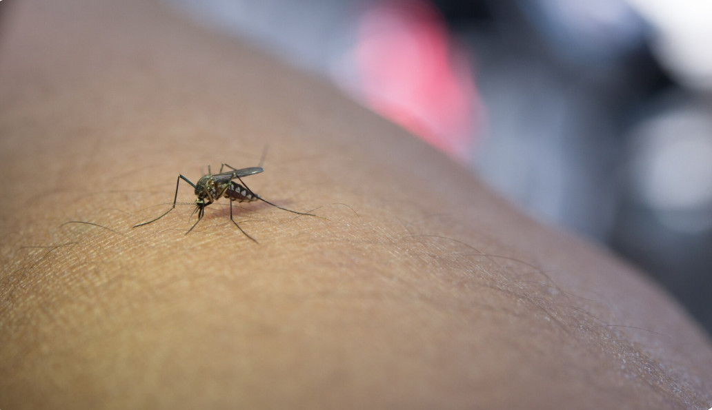 El Niño acende alerta para dengue e malária na Amazônia