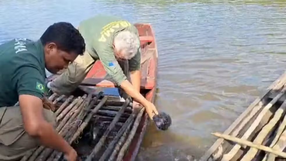 Operação ambiental protege recursos naturais usados por comunidades no Amazonas
