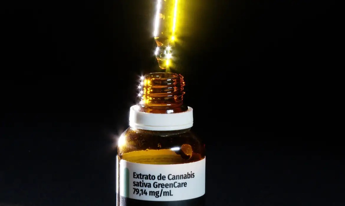 Importação de cannabis medicinal cresce quase 29% no primeiro semestre