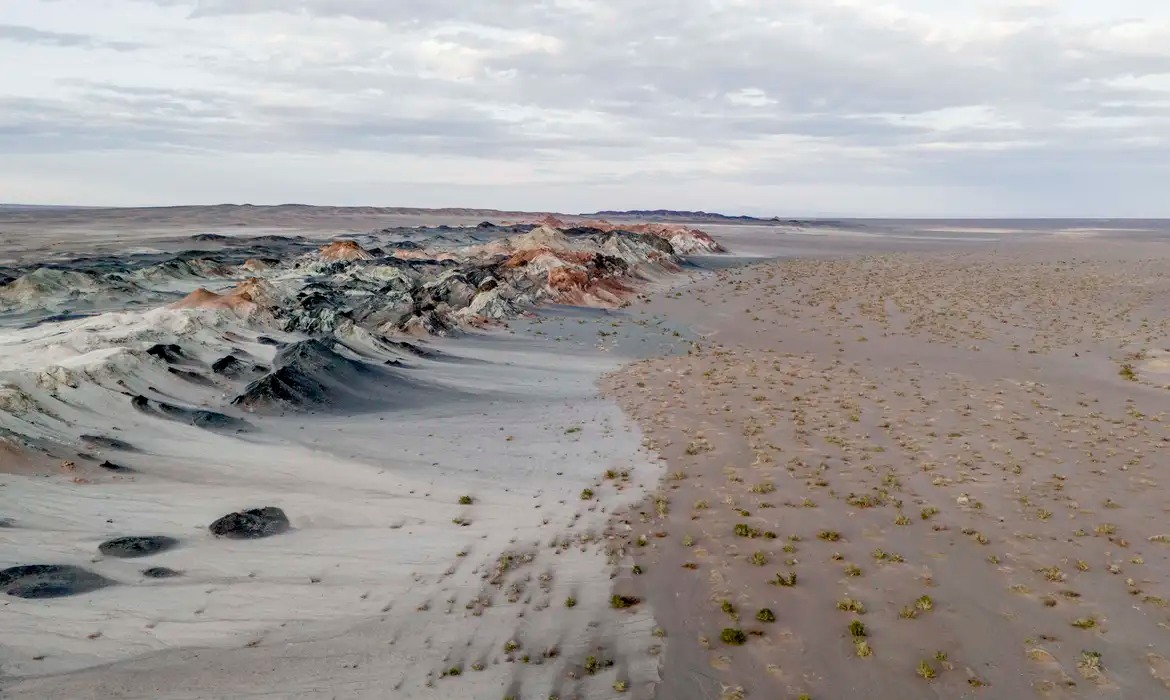 Fungos podem ser nova ferramenta para combater degradação ambiental e crise climática