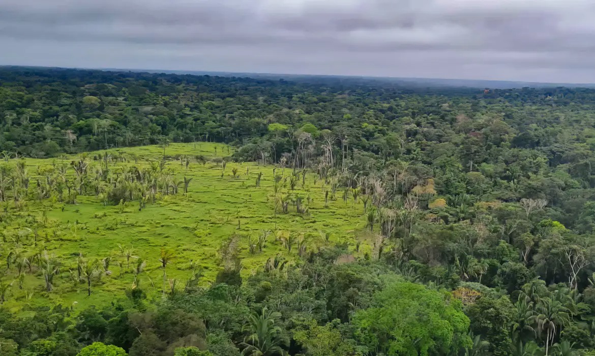 Imazon revela cenário do desmatamento nas terras indígenas da Amazônia