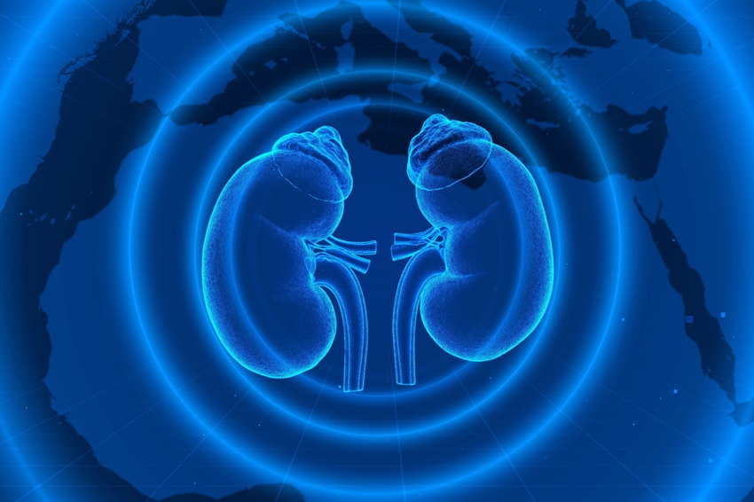 Diabetes e hipertensão elevam risco de doença renal